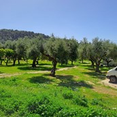 Abstellplatz: Farma Noe, Peloponnes