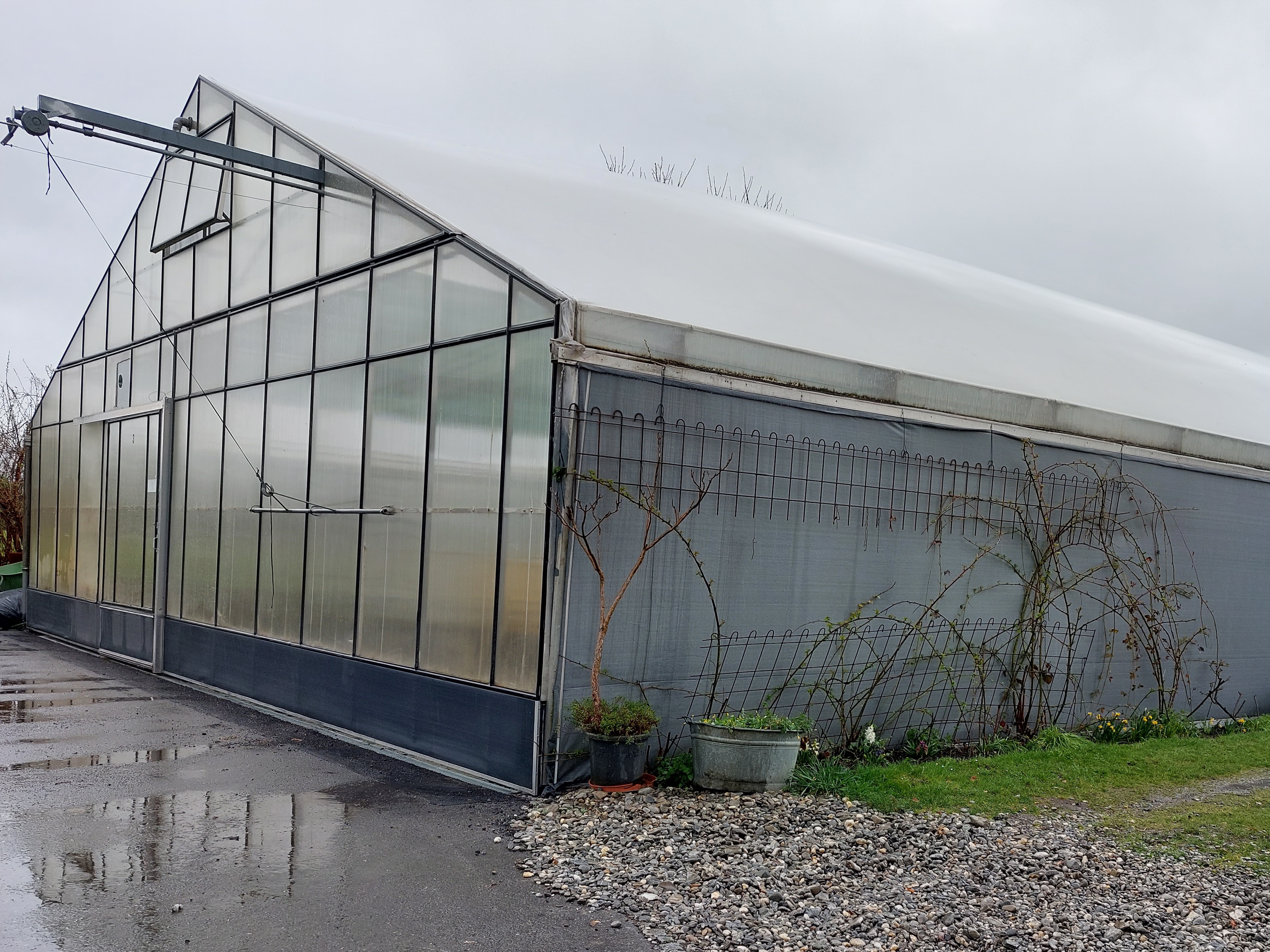 Abstellplatz - Lustenau - Einstellplatz für Wohnmobil in Lustenau AUSGEBUCHT