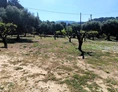 Einstellplatz: Farma Noe, Peloponnes